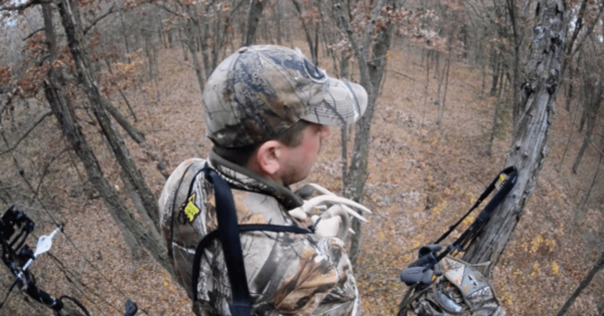 Featured Image for How to Hunt the Peak Rut